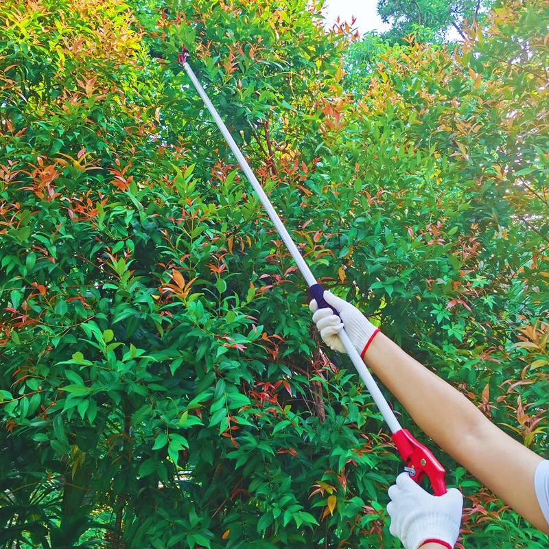 Prunrt Tree Trimmer, 4 Foot Pole Pruner, Long Reach Pruning