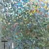 LOVADA Window Privacy Film 45" x 78.7" Rainbow Window Film