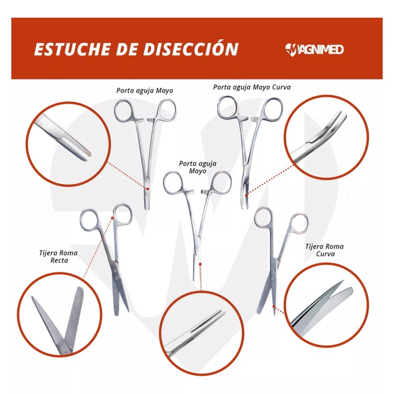Ortopedia Ana Estuche Completo De Disección 12 Piezas