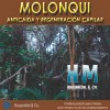 3 Shampoo Molonqui Hm 240ml C/u Anticaída