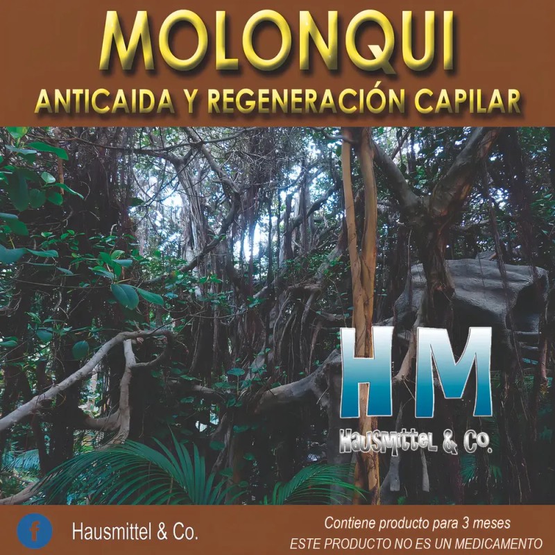 3 Shampoo Molonqui Hm 240ml C/u Anticaída