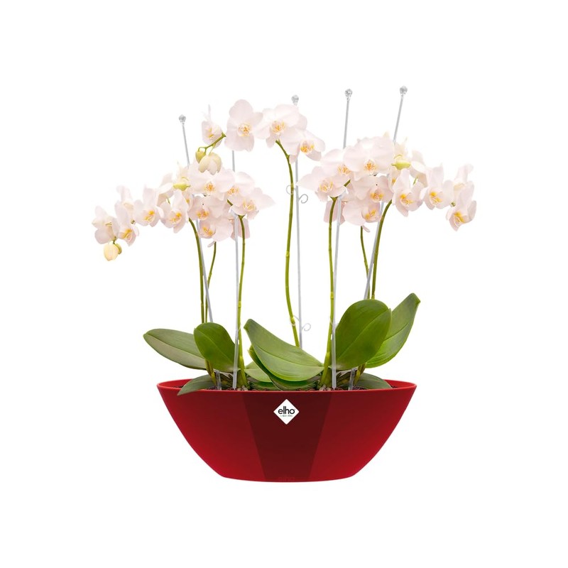 elho Brussels Diamond Oval 36 - Flower Pot for Indoor