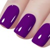 Vishine Gel Nail Polish, 1Pcs 16ml Purple Gel Polish Soak