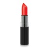 Golden Rose Vision 117 Lipstick