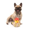 Fuzzyard Waddle Squad-dle Assorted Plush Dog Toys (Firequacker)