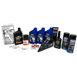YAMAHA F40 Winterization Oil Change Maintenance Kit Filter Fuel Gaskets Fogging