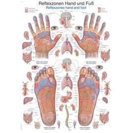 Teaching Board "Reflex Zones Hand and Foot", 70 x 100 cm