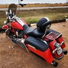 ShoreFire Design 2014-2023 Premium Flame Saddlebag Lid Covers for Harley