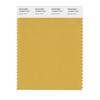 PANTONE SMART 16-0947X Color Swatch Card, Bright Gold