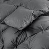 Luxurious King Size Goose Down Feather Fiber Comforter Duvet Insert,