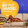 Dog Dog Big Fat Squirrel Plush Chew Toy Stuffed Animal