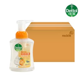 Dettol Antibacterial Foaming Hand Wash Orange Container 250ml x 10 / 데톨 항균 포밍 핸드워시 오렌지 용기 250ml x10개