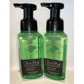 Bath & Body Works - Jabón de manos para aromaterapia, eucalipto y menta (2 unidades)