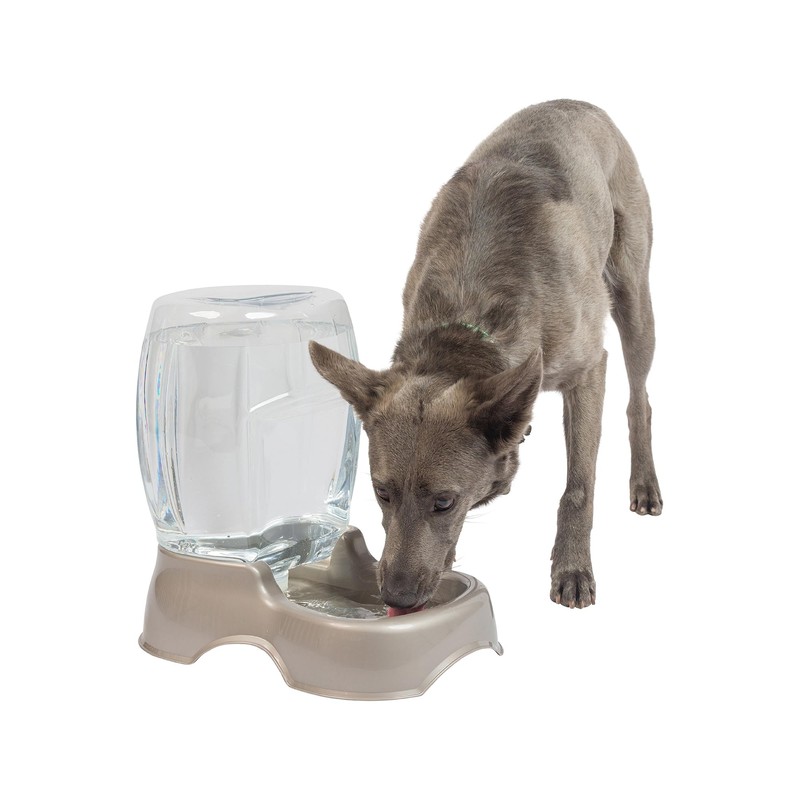 Petmate Replendish Gravity Waterer with Microban for Cats and Dogs,