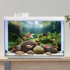 MIRRORANG 180x61cm Underwater Aquarium Background Seagrass Aquatic Plant Background River