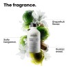 Champú Metal Detox De L'oréal Professionnel Paris - Champú A