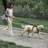 PHOEPET 5 Feet Heavy Duty Dog Leash - Reflective -
