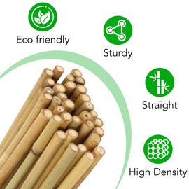 SWANGSA SWANGSA 55 Pack Bamboo Stakes 4 Feet, Garden Stakes for Plants Support, Tomatoes, Beans, Flowers, Climbing Plants, Indoor and Outdoor