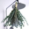 10 Pcs Dried Eucalyptus Stems for Shower, 18 Inch 100%