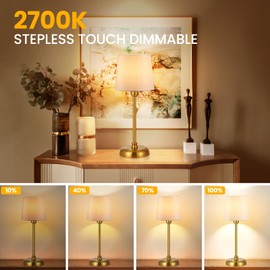 Small Cordless Table Lamp Touch Control, 6000mAh Battery Powered, Low battery reminder, Bedside Night Lamp can Stepless Dimming, Table Lamp for Restaurant/Bedroom/Offices/Cafe(Antique Brass, High)