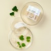 Lycocell Centella asiatica + Wormwood Super Calming Cream 100ml 1+1