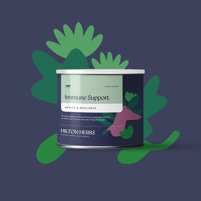 Hilton Herbs Immune Support Natural Dog Supplement. 100% Natural Ingredients.