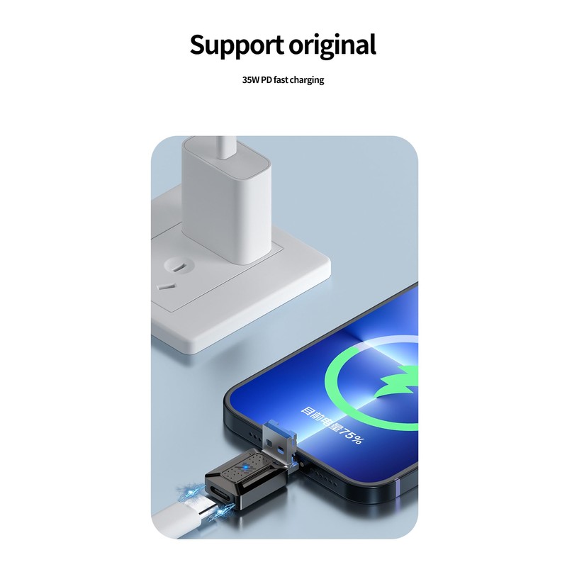 Apitiong Lightning OTG Adapter USB C, 2-in-1 Type C Lightning