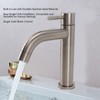 Kitchen Faucet Single Hole Stainless Steel Single Cold Sink Faucet