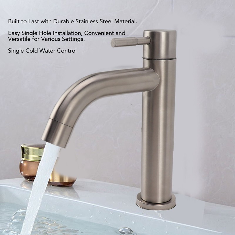 Kitchen Faucet Single Hole Stainless Steel Single Cold Sink Faucet