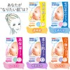 Barrier Repair Seat Mask, Soft Type, 5 Pieces, 2016
