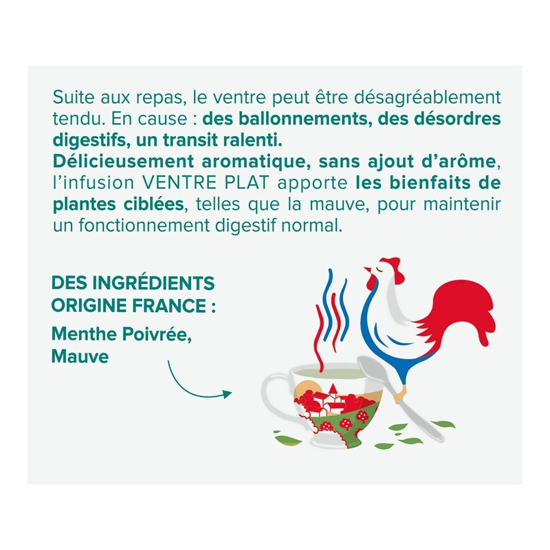 BIOPUR Flat Tummy Infusion