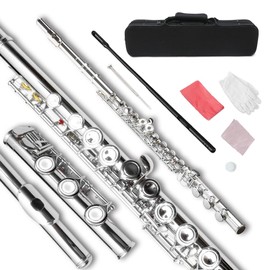 WUQIMUSC 17 hole Flute Closed hole C flute for beginner Cleaning kit with Gloves Cloth Tuning Rod hard Case Nickel Siver Flute instrument Student flute (Closed Hole,silver)