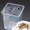 DQITJ 1 Pcs Jumping Spider Climbing Net Enclosure Accessories with