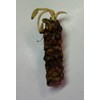 Live Hardy Water Lily Tubers Rhizomes Bulb Seed Nymphaea Aquatic