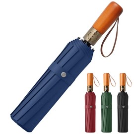 Faltbarer Regenschirm, Auf-Zu-Automatik Taschenschirm, Leichtes Design, Winddicht und Regenfest Klappschirm für Männer und Frauen (blau)