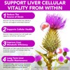 Milk Thistle Liquid Drops 600mg per Serving - Alcohol-Free Liver