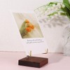 Vctitil Wooden Plate Stands For Display, Plate Holder Display Stand,