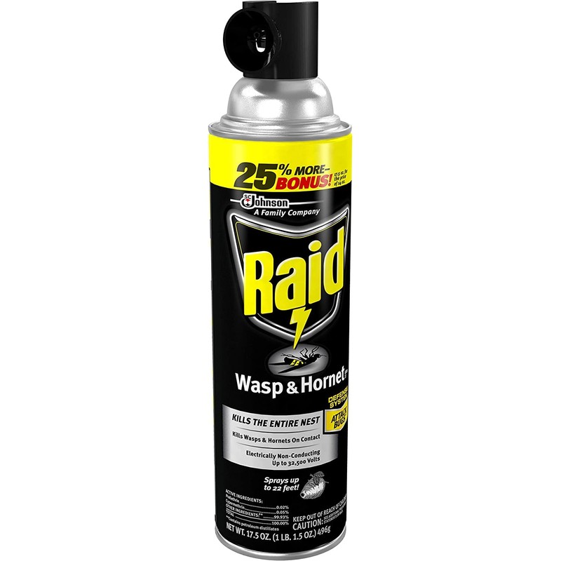 Raid Wasp and Hornet Killer, 17.5 Oz (Pack of 4)