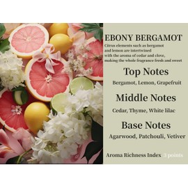 DEGUI 2Pack Ebony Bergamot Scented Automotive Air Freshener Set, Car Accessories Decoration Hanging Scented Car Diffuser for Men Women Best Gifts