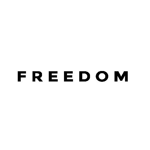 FREEDOM Vinyl Decal Sticker - Charlie Kirk weatherproof Die Cut-Patriotism