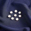 Airssory 10 Pcs Natural White Shell Loose Double-Sided Flower Rose