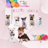 Pooch Outfitters Dog Tie and Bow Tie Collection | Extensive