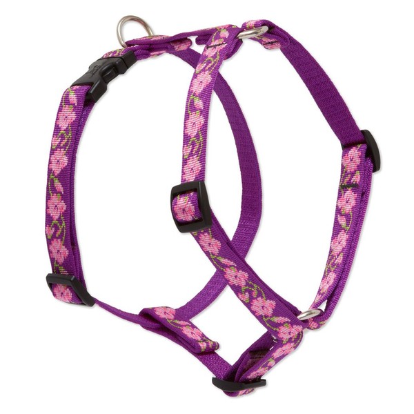 LupinePet Originals 3/4" Rose Garden 12-20" Adjustable Roman Dog Harness for Small Dogs