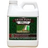 nviroColor 4EverGreen Grass Colorant/Turf Paint – 32 oz Concentrate Covers