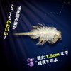 Aqua Dragons Aqua Dragon Breeding Kit Japanese Version Artemia Cultivation