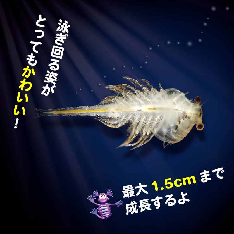 Aqua Dragons Aqua Dragon Breeding Kit Japanese Version Artemia Cultivation