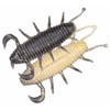 GEECRACK BUGPEE BUGPEE 2.2" (#030 Golden Shiner)