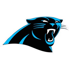(NOT A PATCH)  Carolina Panthers Football HTV Heat Transfer Vinyl Iron On - 4" Inches
