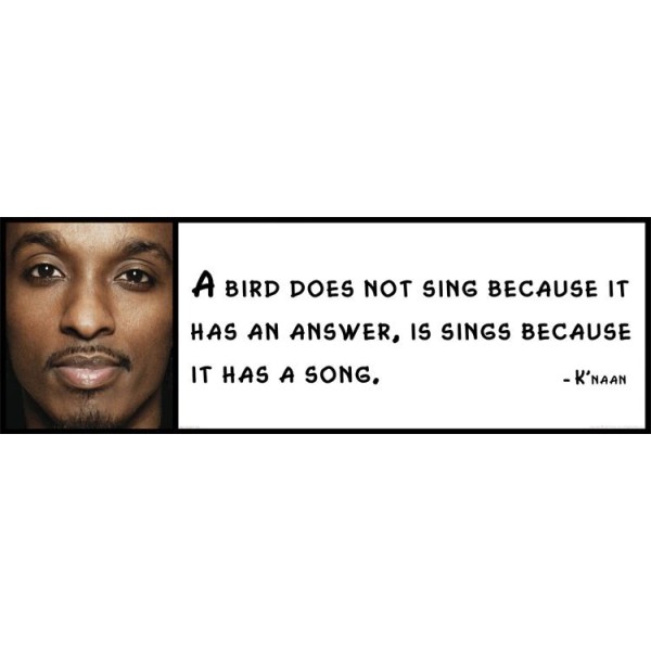 Wall Quote - K'naan - A bird does not sing