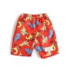 Escape Swim Shorts, Full Handle Swim Pants, Boys, red, 130